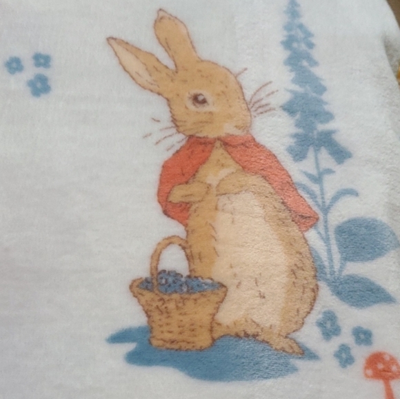 Peter Rabbit Blanket Set 🥕 - Picture 11 of 12
